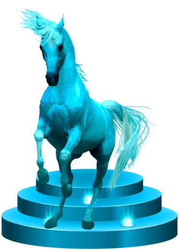 White label Cryptocurrency Wallet Development White label Cryptocurrency Wallet Development